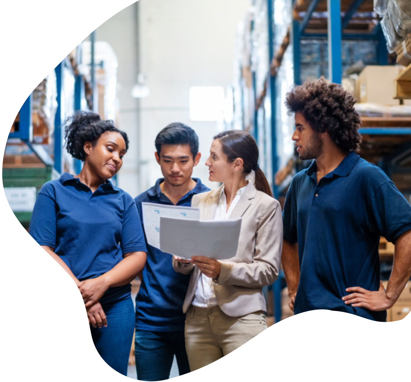 Courier and Despatch software