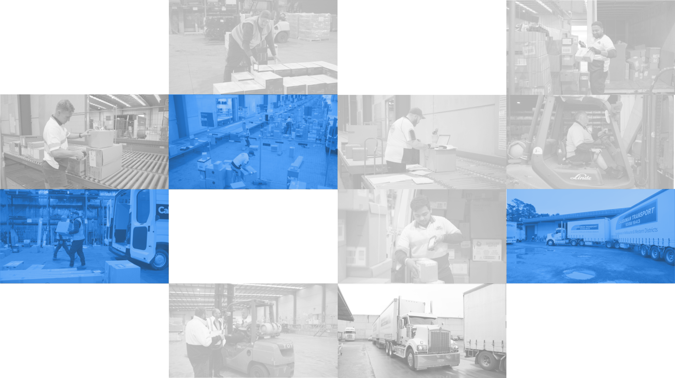 join transvirtual transport management system company