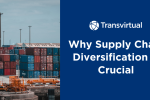supply chain diversification